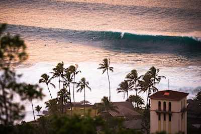 Grant Twiggy Baker, Waimea