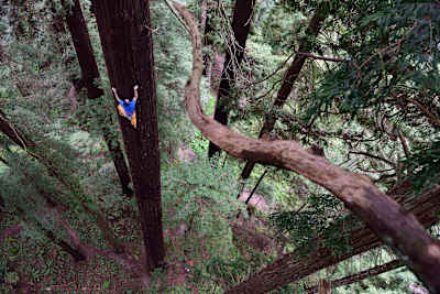 Escalada libre a una secuoya de Chris Sharma en Eureka