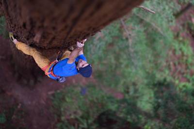 セコイアの巨木に挑むクリス・シャーマ