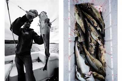 Catch of the day.
