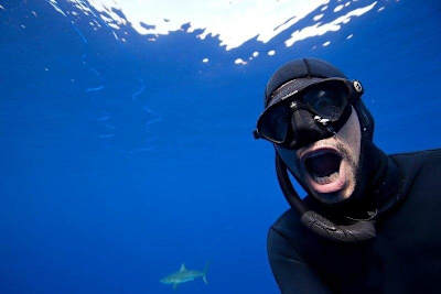 Tiburón y buceo libre en Cornualles