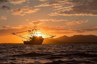 It’s unlikely you’ll find a more stunning backdrop