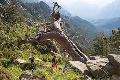 Uma bela vista pode ajudar a amenizar a dor