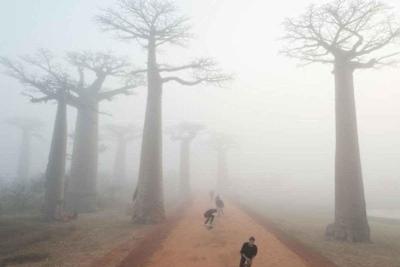 Skate em Madagascar!