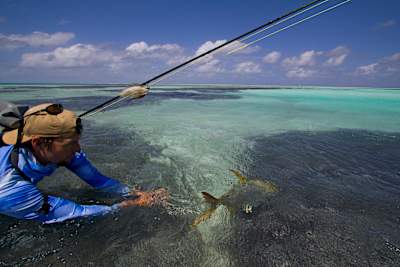 The release, best part of the experience