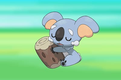 We wonder what Komala dreams about
