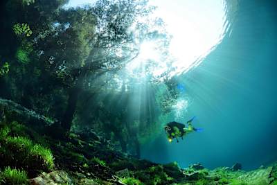 Ein Naturwunder mitten in Österreich.