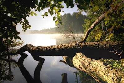 Wiedervereint: der Schaalsee