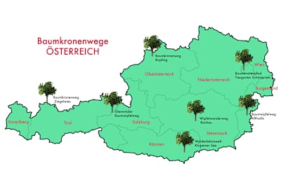 Wipfelwanderwege für eine luftiges Naturerlebnis.