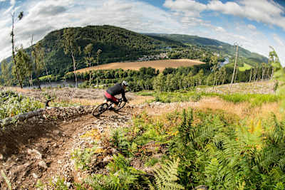 Dunkeld trails