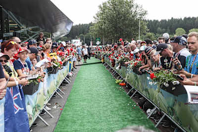 The world famous "Styrian Green Carpet"