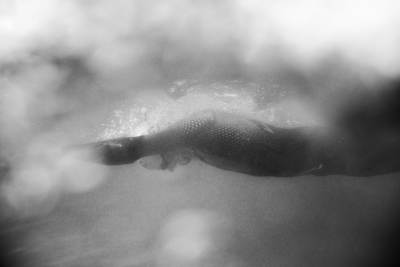 Braden Currie dans son élément