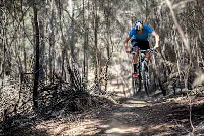 Braden Currie ride dans les bois