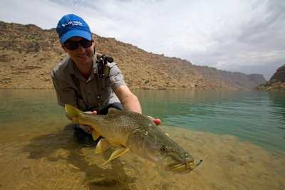 Mangar on fly, something out of the ordinary