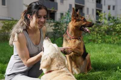 Zuseher kennen Pias Hunde auch aus dem Stream
