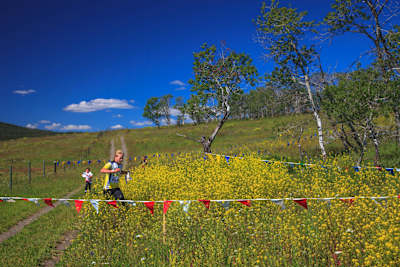 Финиширование