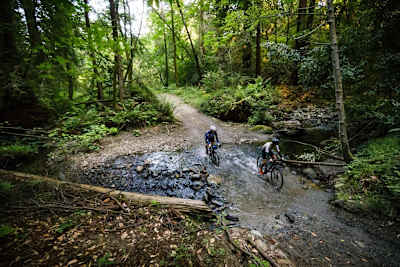 Biciclette nate per i viaggi avventurosi...