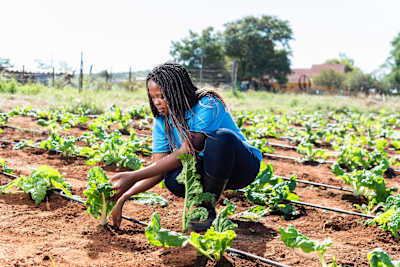 Hope Mapheto creates biodiesel from used vegetable oil
