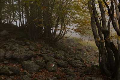 Накај Црн Камен - Јабланица