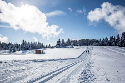 Langlauf Schwarzwald