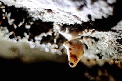 Formy naciekowe w jaskiniach