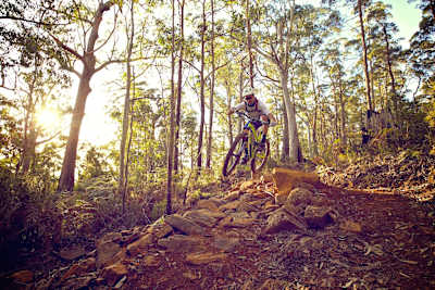 Hollybank Mountain Bike Park