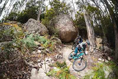Blue Derby Trails Tasmania