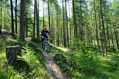 Bike Park Sauze d'Oulx
