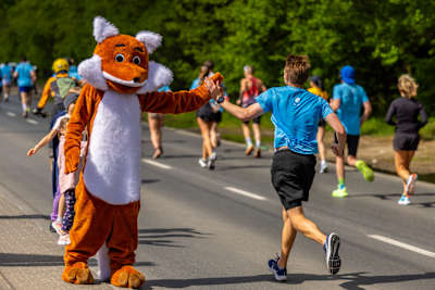 Wings for Life World Run - kibic przebrany za lisa rozdaje "piątki" na trasie 