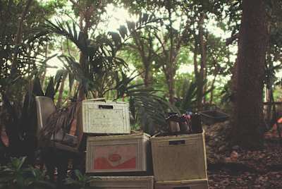 5 правил Zero Waste