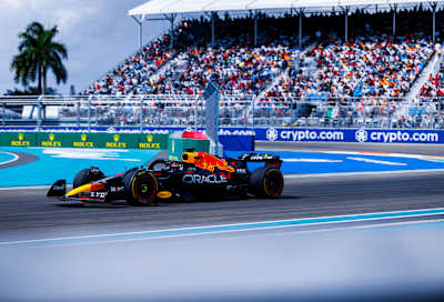 Max In Miami Paradise