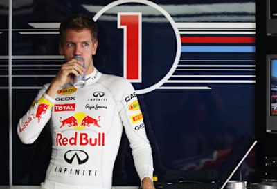 vettel tribute fans red bull can