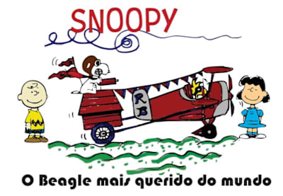 Carro selecionado para o Red Bull Ladeira Abaixo 2026