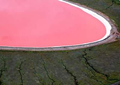 Lake Hillier: Ein Rätsel für die Wissenschaft.