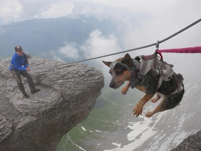 Whisper atarna pe Eiger