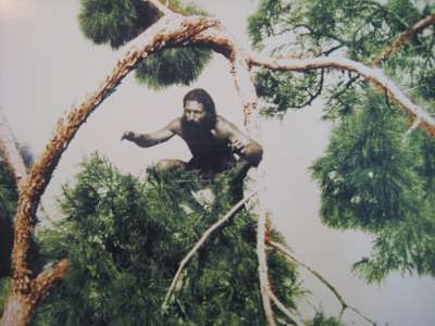 Manisa Tarzanı Türkiye'nin ilk çevrecisiydi