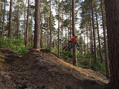 Mountain biking in Swinley Forest