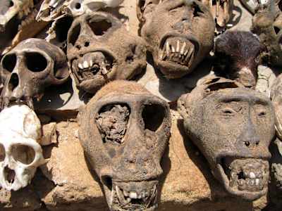 There are plenty of skulls to be had at Lome's fetish market.