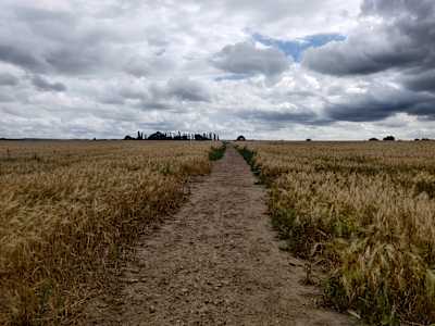 The Lovelace Project gravel route