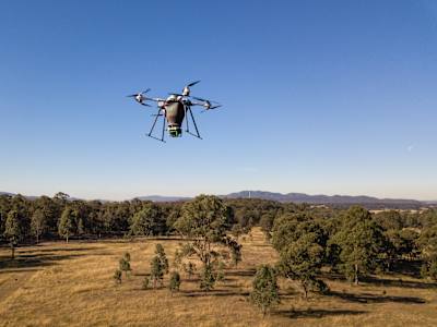Drone'ların ağaç dikme seferberliği