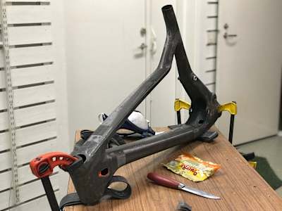 How wild will you go?