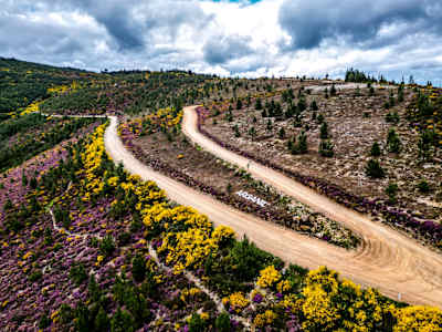 WRC Vodafone Rally de Portugal (Arganil)