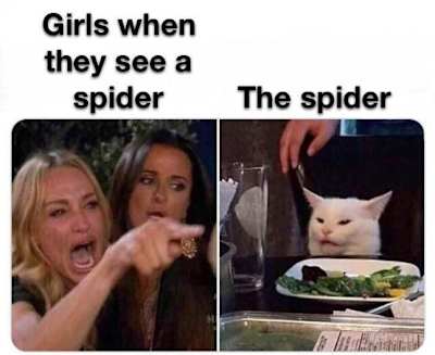 WomanYellingatCat3