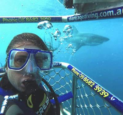 Terra diving with sharks.