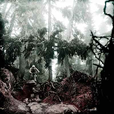 The gnarly rocks of Whistler Mountain Bike Park