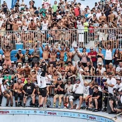 Vans Pool Party