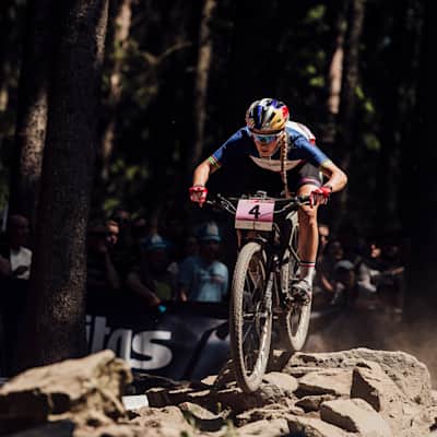 Dh world cup 2019 schedule sale