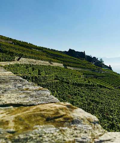 Freeride Lavaux - 1-1