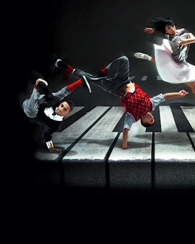 Flying Bach Header Picture