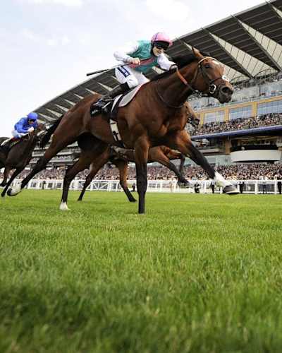 Red Bull Air Race, Ascot, UK